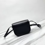 高仿原單Celine賽琳包包 光滑牛皮革FOLCO CUIR TRIOMPHE手袋 黑色