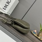 loewe羅意威精仿超A貨包包 新款 闪亮纳帕牛皮革Paseo包 深卡其綠