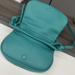 loewe羅意威精仿超A貨包包 新款 闪亮纳帕牛皮革Paseo包 翡翠綠