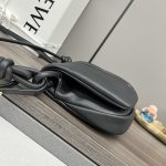 loewe羅意威精仿超A貨包包 新款 闪亮纳帕牛皮革Paseo包 黑色