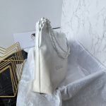Minisize22 bagCHANEL香奈兒高仿包包 單肩包