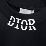 DIOR高仿圓領短袖T恤 印花字母 logo 奢侈品T恤
