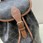 原單複刻Celine賽琳包 FOLCO TRIOMPHE CANVAS標誌印花和牛皮革揹包