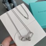 頂級復刻Tiffany蒂芙尼經典優雅專櫃同步項鏈
