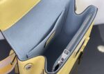 原單LV路易威登M59134黄色新款编织ClunyBB手袋
