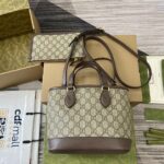原單GUCCI古驰雙811716啡色托特包挎包