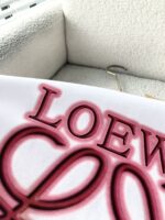 一比一 Loewe羅意威春夏白色情侣款短袖T恤