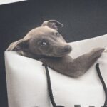 原單Balenciaga巴黎世家新款潮流經典衛衣