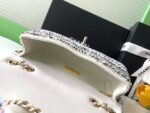 高仿精品chanel香奈兒新款珠光片單肩包AS4561