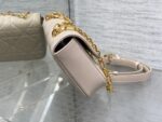 原單Dior迪奧最新超大藤紋格Miss Daisy鏈條包