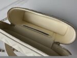 香奈兒 Vanity Case 象牙白斜背手提包精品仿製荔枝皮