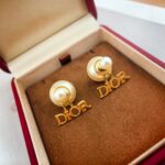 Dior A貨耳釘專櫃新款 唯美浪漫設計 火紅爆款 小紅書熱門同款