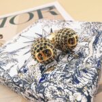 Dior 精品仿製Tribales耳環新款設計 一線名媛愛用 典雅立體風格