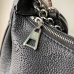 LV A貨Baia半月包穿孔牛皮黑色輕奢設計附零錢包多功能斜背小巧實用M22819黑