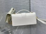 Dior 原單 Miss Montaigne WOC 白色迷你包老花設計百搭女神復古款