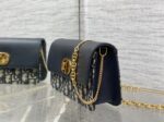 Dior頂級Caro Miss蒙田拼皮鏈條WOC時尚千金感2025新品
