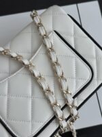 CHANEL熊貓方胖子 白色25P限量現貨 頂級原單減齡款 手提斜背包
