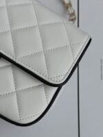 CHANEL熊貓方胖子 白色25P限量現貨 頂級原單減齡款 手提斜背包