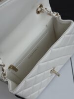 CHANEL熊貓方胖子 白色25P限量現貨 頂級原單減齡款 手提斜背包