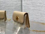 Dior高仿Caro Miss蒙田拼皮鏈條WOC時尚千金感2025新品