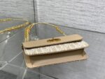 Dior高仿Caro Miss蒙田拼皮鏈條WOC時尚千金感2025新品