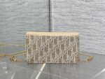 Dior高仿Caro Miss蒙田拼皮鏈條WOC時尚千金感2025新品
