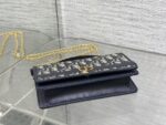 Dior 高仿網站 30 Montaigne Cigale 拼皮鏈條WOC優雅百搭千金感小包