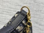 Dior 高仿網站 30 Montaigne Cigale 拼皮鏈條WOC優雅百搭千金感小包