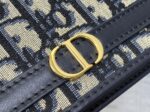 Dior 高仿網站 30 Montaigne Cigale 拼皮鏈條WOC優雅百搭千金感小包