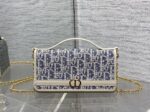 Dior 復刻版 30 Montaigne Cigale 拼皮鏈條WOC優雅百搭千金感小包