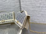 Dior 復刻版 30 Montaigne Cigale 拼皮鏈條WOC優雅百搭千金感小包