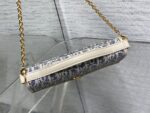 Dior 復刻版 30 Montaigne Cigale 拼皮鏈條WOC優雅百搭千金感小包
