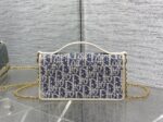 Dior 復刻版 30 Montaigne Cigale 拼皮鏈條WOC優雅百搭千金感小包