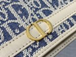 Dior 復刻版 30 Montaigne Cigale 拼皮鏈條WOC優雅百搭千金感小包