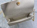 Dior 復刻版 30 Montaigne Cigale 拼皮鏈條WOC優雅百搭千金感小包