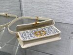 Dior 高仿 Miss Montaigne WOC 老花迷你包頂級原單金扣設計復古時髦款