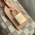 LV 原單Slouchy PM手袋 小巧時尚典雅設計 法式渡假感精品仿製 N00116
