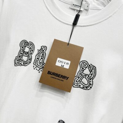 Burberry原單刺繡LOGO短袖T恤重工艺纯棉质感25SS潮男必备款