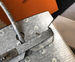 Hermès愛馬仕復刻版蜥蜴紋Birkin包 本色/喜馬拉雅白 25cm 蜡線縫製氣場手提包