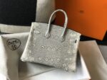 Hermès愛馬仕復刻版蜥蜴紋Birkin包 本色/喜馬拉雅白 25cm 蜡線縫製氣場手提包