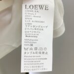 LOEWE一比一藝術風短袖T恤 2025夏季原版純棉 男女同款百搭時尚必備款