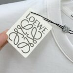 LOEWE一比一藝術風短袖T恤 2025夏季原版純棉 男女同款百搭時尚必備款