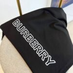 Burberry高仿走秀款黑色短袖T恤雙紗純棉設計感百搭2025春夏男女同款