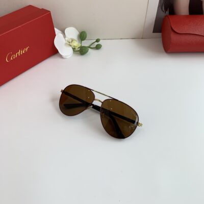 Cartier 卡地亞 新款高端飛行員蛤蟆框墨鏡｜時尚帥氣潮流太陽眼鏡｜戶外駕駛旅遊必備