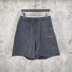 巴黎世家高仿彪馬聯名短袖T恤洗水黑徽章刺繡做舊圓領2025秋季新品