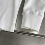 LOEWE Anagram刺繡長袖T恤 白色 2025秋冬新品 簡約極簡風上衣