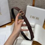 Dior 迪奧 Metamorphose 新款女士蝴蝶扣腰帶20mm麂皮拼牛皮設計